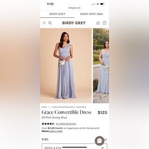 Birdy Grey Grace Dress in Dusty Blue